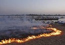 Allahabad, Uttar Pradesh, India