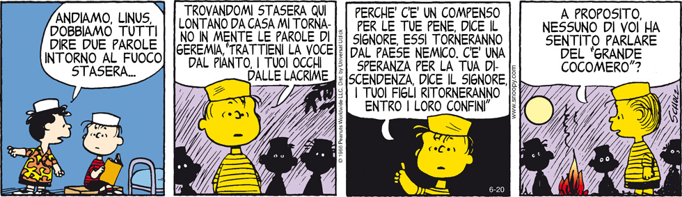 Peanuts 2013 giugno 20