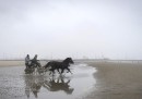 Duinbergen, Belgio