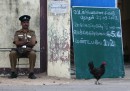 Jaffna, Sri Lanka