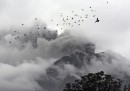 Berastepu, Sumatra, Indonesia