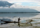 Srinagar, India