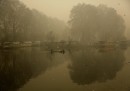 Srinagar, India