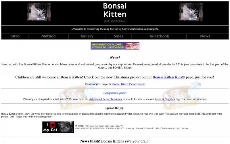 Bonsai hotsell kitten website