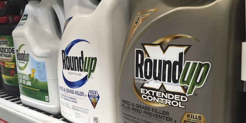 Un tribunale americano ha stabilito che l'erbicida Roundup è tra i fattori  che hanno causato un tumore in una persona - Il Post