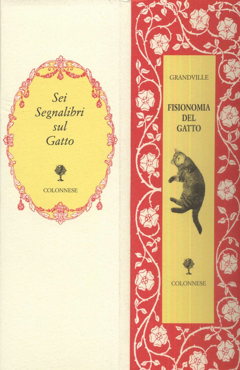 Segnalibro Gatto Curioso