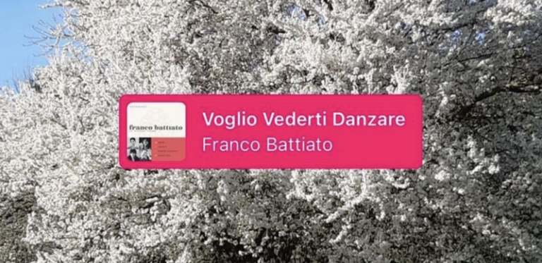 In Italia su Facebook e Instagram presto non si potranno più usare le  canzoni il cui diritto d'autore è protetto dalla SIAE - Il Post