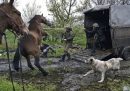 Avdiivka, Ucraina