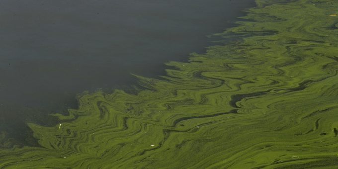 Le sperimentazioni per produrre fertilizzanti con la pipì