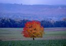 Wehrheim, Germania