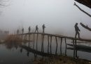 Srinagar, Kashmir, India