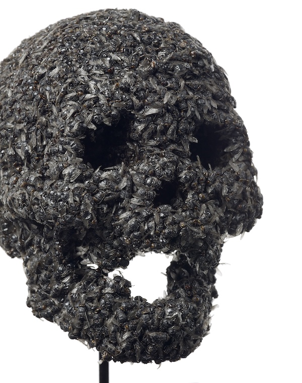 L'opera del 2007 di Damien Hirst "Fear of Death (Full Skull)": mosche, resina, alluminio e vetro (foto di Prudence Cuming Associates Ltd. © Damien Hirst and Science Ltd., via Labirinto della Masone)