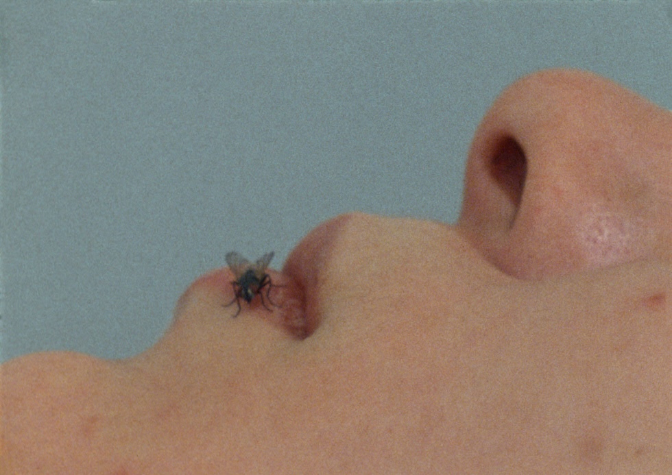 Screenshot dal film FLY, 1971 (© Yoko Ono, via Labirinto della Masone)