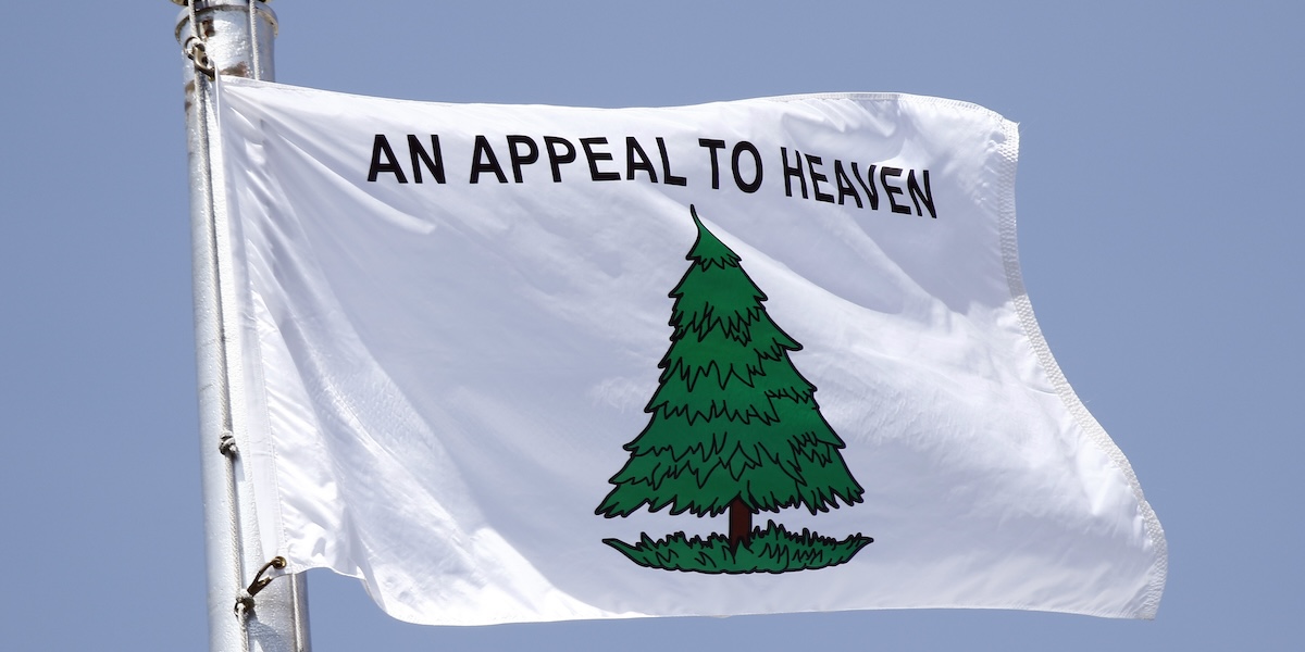 La bandiera "Appeal to Heaven", con un pino verde stilizzato su sfondo bianco