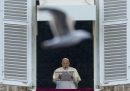 Un gabbiano passa davanti alla finestra su piazza San Pietro dove papa Francesco è impegnato nella consueta preghiera dell'Angelus