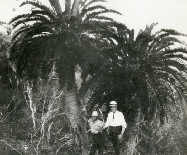 Fotografia in bianco e nero in cui si vede la cicas di Wood e due uomini che indossano caschi coloniali