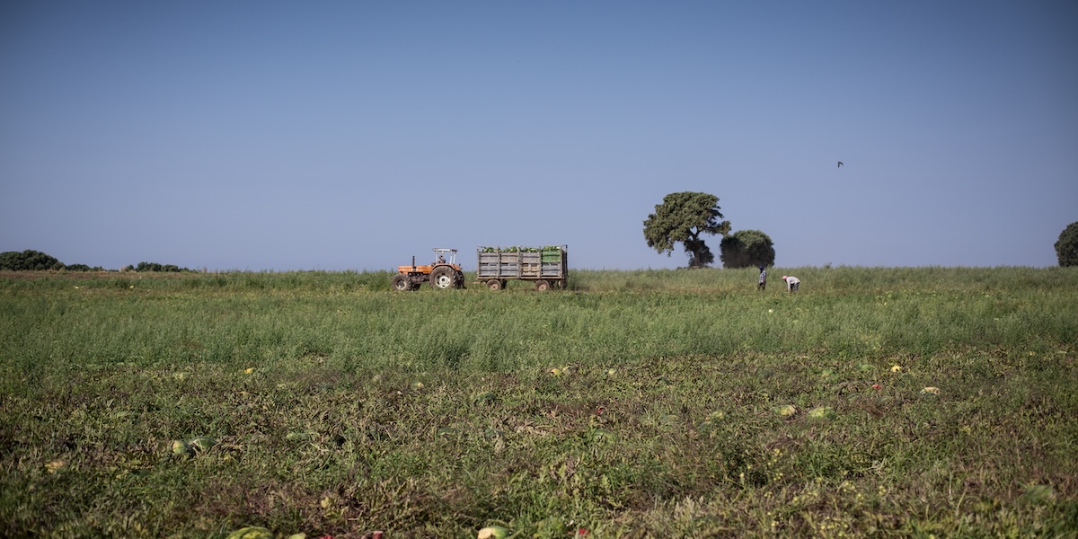 Un trattore nei campi dell'Agro pontino, in provincia di Latina