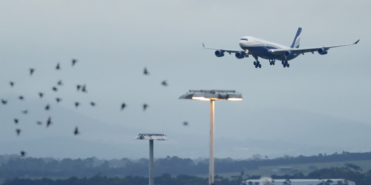 Un aereo in atterraggio all'aeroporto di Melbourne (Darrian Traynor/Getty Images)