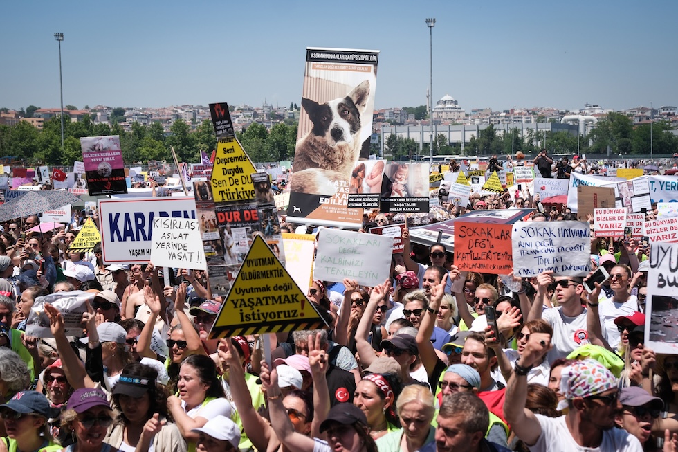 Una manifestazione per i diritti degli animali a Istanbul contro la proposta del governo, il 2 giugno 