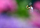 Il tennista serbo Novak Djokovic durante gli allenamenti al torneo di Wimbledon, dove si è qualificato alle semifinali in seguito al ritiro di Alex De Minaur per un infortunio all'anca