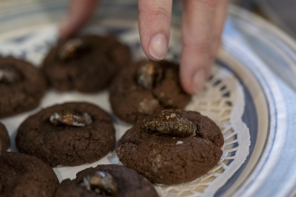 Un piatto di biscotti al cioccolato con sopra una pupa di cicala 