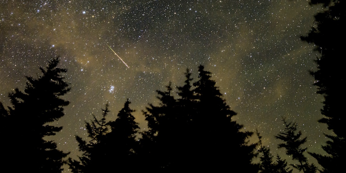 Una stella cadente fotografata a Spruce Knob, West Virginia, 11 agosto 2021