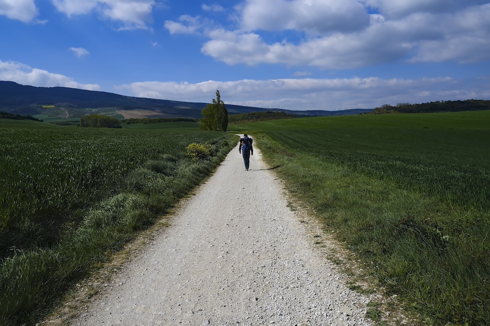 Un viandante lungo il cammino di Santiago (AP Photo/Alvaro Barrientos)