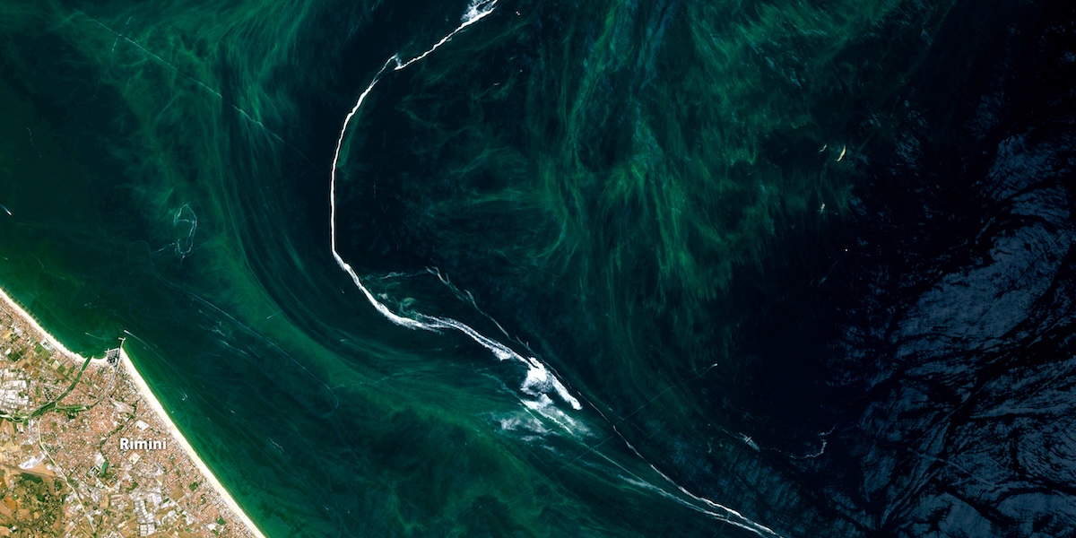 Fotografia satellitare in cui si vede la città di Rimini e il tratto di mare Adriatico su cui si affaccia: nell'acqua è visibile una grande quantità di fitoplancton (in verde) e strisce di mucillagine (in bianco)