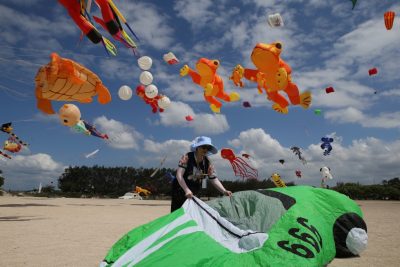 una donna su una spiaggia con un aquilone verde, dietro di lei diversi grossi aquiloni a forma di rana