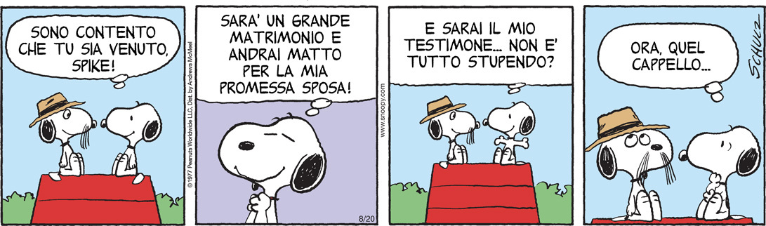 Peanuts 2024 agosto 20