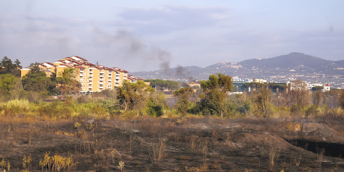 Il “pratone” dopo l'incendio, a Roma, il 21 agosto 2024 (Cecilia Fabiano/LaPresse)