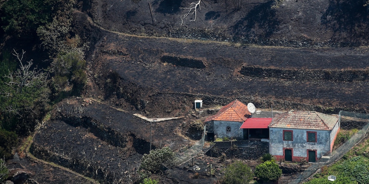 Serra de Agua, Ribeira Brava, Madeira, 19 agosto (EPA/ HOMEM DE GOUVEIA via ANSA)