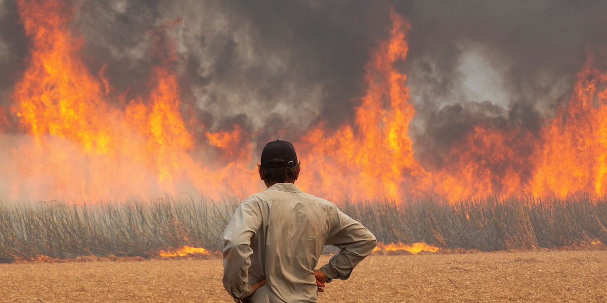 Un uomo guarda un incendio vicino a Dumont, nello stato di San Paolo, in Brasile (REUTERS/Joel Silva)