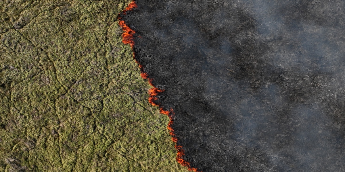 Una porzione del Pantanal durante un incendio vicino a Corumbá, nello stato del Mato Grosso, Brasile, 10 giugno 2024 (REUTERS/ Ueslei Marcelino)