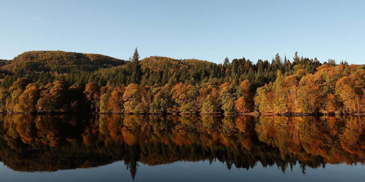 Alberi riflessi in Loch Faskally, Scozia, 22 ottobre 2023