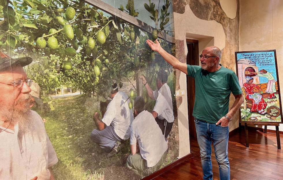 Una foto del presidente del Consorzio del cedro, Angelo Adduci, mostra una gigantografia del rabbino Moshe Lazar su una parete del Museo del cedro 