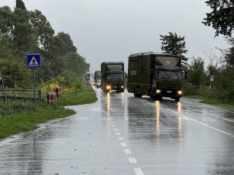 L'Esercito sta chiudendo il suo storico allevamento di cavalli - Il Post