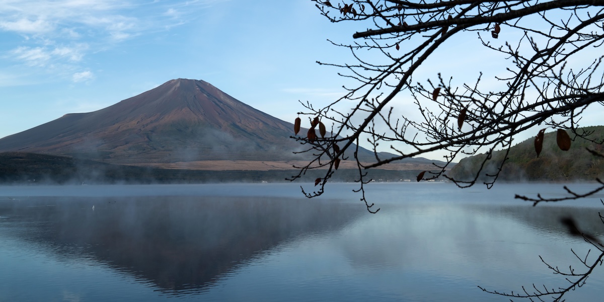 Panorama del Monte Fuji senza neve in cui si capisce che è autunno per i rami spogli di un albero