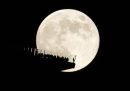 La luna sorge dietro una terrazza panoramica di New York. La foto è stata scattata da Hoboken, in New Jersey, sulla sponda opposta del fiume Hudson rispetto a Manhattan (AP Photo/Seth Wenig)