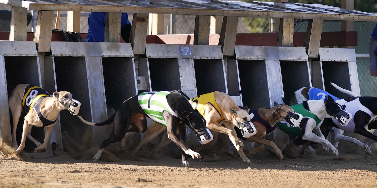 (AP Photo/Charlie Neibergall)